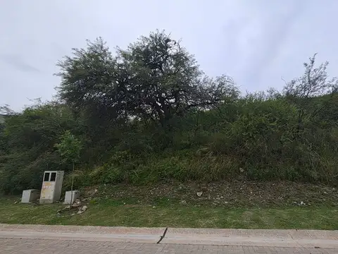 av. Ejercito Argentino 1200