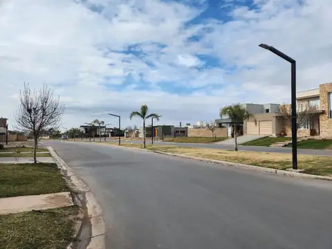 Terreno en Venta 12  mts Frente
