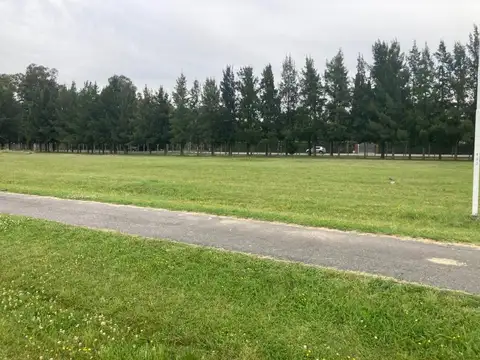 Lote Barrio El Paraiso Guernica