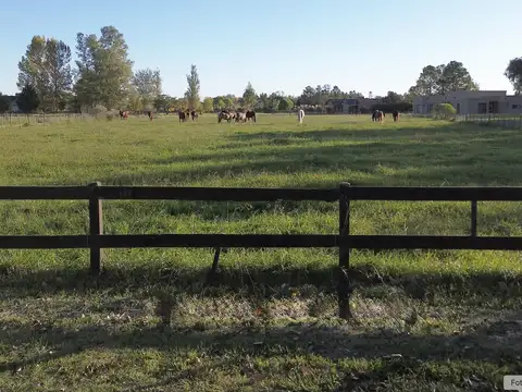Terreno en Venta de 5009,0 m2