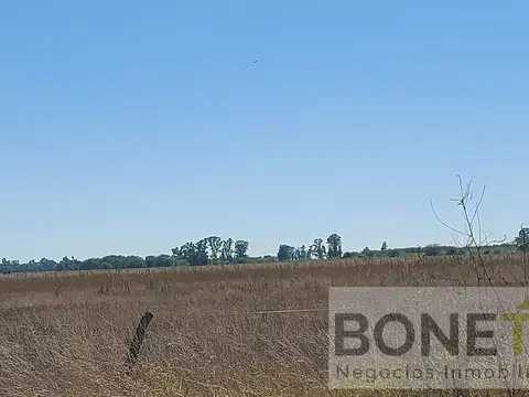 Campo mixto en Suipacha 38 hectáreas en Cuartel X