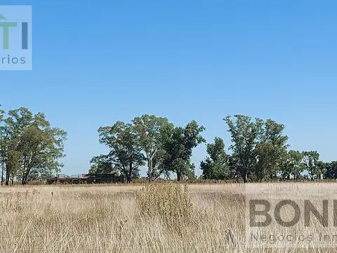 Campo mixto en Suipacha 38 hectáreas en Cuartel X