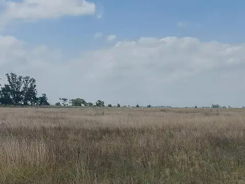 Campo en Suipacha Cuartel X