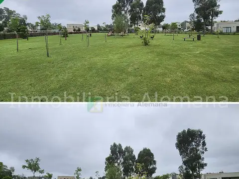 MARIANO ACOSTA 100