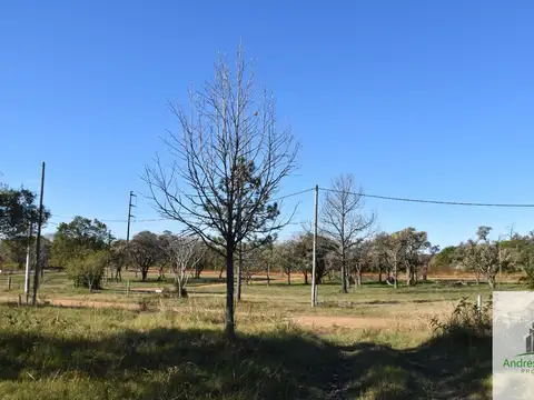 Damián P. Garat, y 25 de Febrero 100