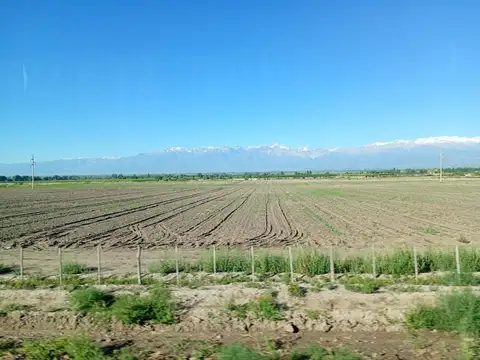 Calle El Alamo - Cordon del Plata