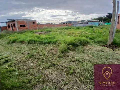 Doctor Tornu y vivero kuba, Cuartel V, Provincia de Buenos Aires,