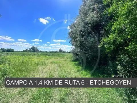 CAMPO 6 HECTAREAS ETCHEGOYEN A METROS RUTA 6