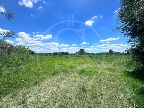 CAMPO 6 HECTAREAS ETCHEGOYEN A METROS RUTA 6