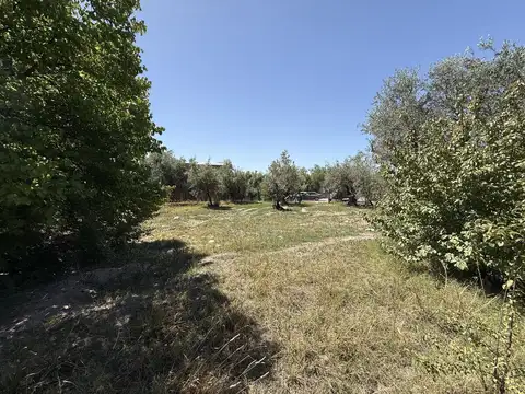 Terreno en Venta de 853,0 m2