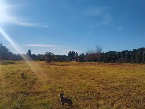 Complejo Milagros de San Pedro