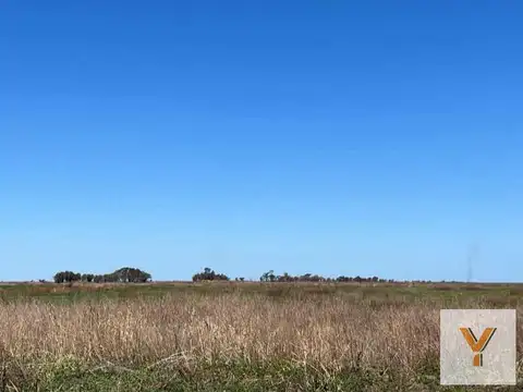 Terreno en venta - 987 Hectáreas - Victoria, Entre Ríos