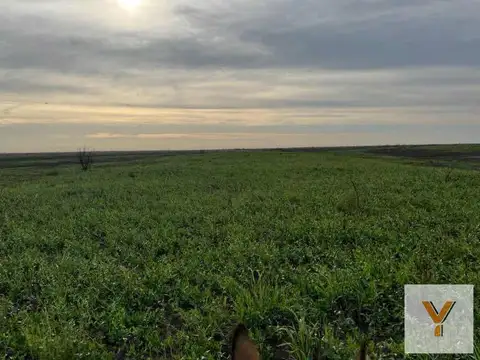 Terreno en venta - 987 Hectáreas - Victoria, Entre Ríos