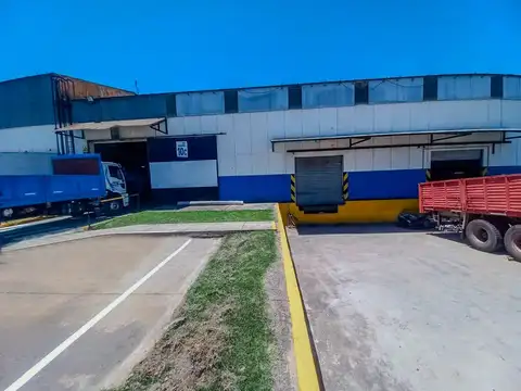 M. Ocampo al 1100
