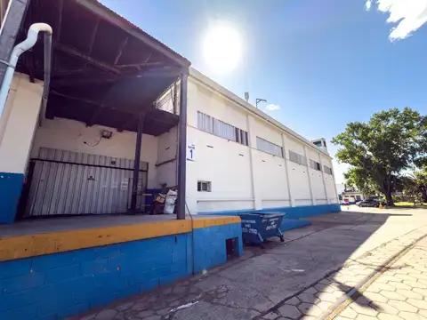 M. Ocampo al 1100