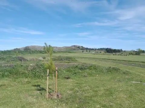 Terreno en Venta de 800,0 m2