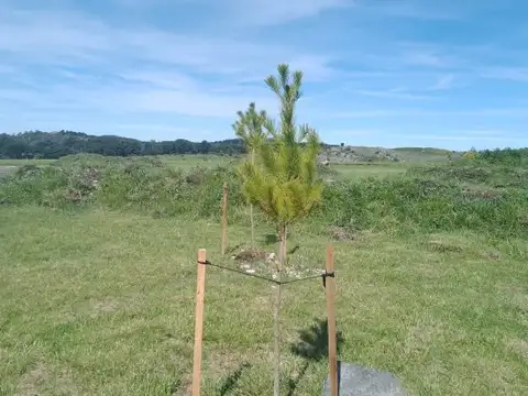 Terreno en Venta en Tandil, USD 20.000