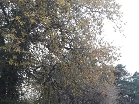 Quinta en Venta en Moreno, USD 410.000