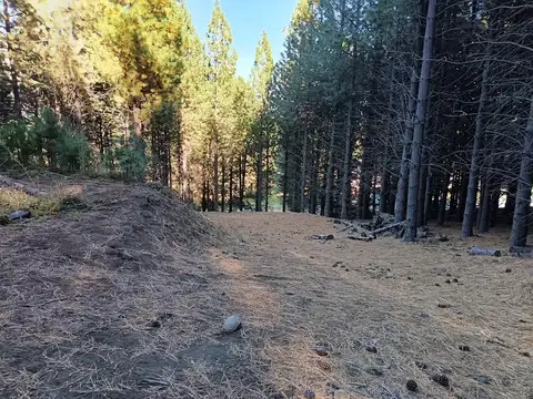 Terreno Lote  en Venta en Chapelco Golf, San Martin de los Andes, Patagonia
