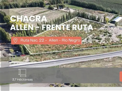 VENTA CHACRA 3,7 HECTAREAS RUTA 22 ALLEN RIO NEGRO