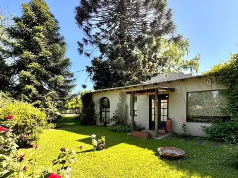 Domingo Martinez de Irala al 1600