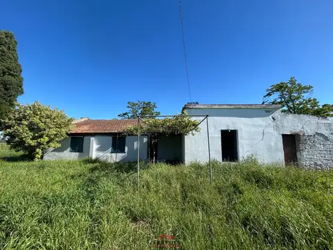 Venta . Campo en Gaynor . a Metros de ruta 8 . 23 has