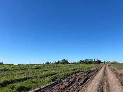Venta - Campo en Gaynor - a Metros de ruta 8 - 23 has 100