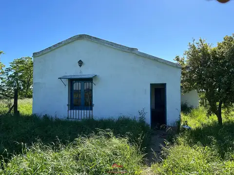 Venta . Campo en Gaynor . a Metros de ruta 8 . 23 has