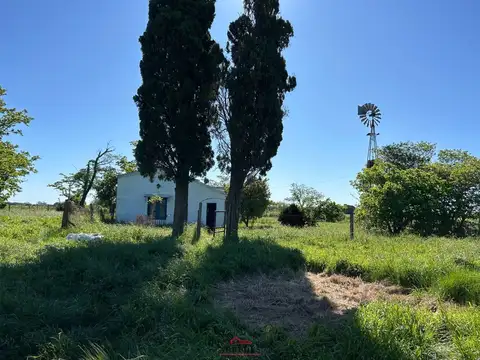 Venta . Campo en Gaynor . a Metros de ruta 8 . 23 has
