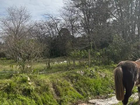 La Bota