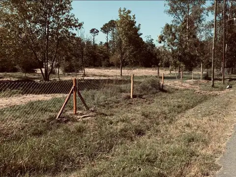 Lote de 15.000 m2 - La Bota