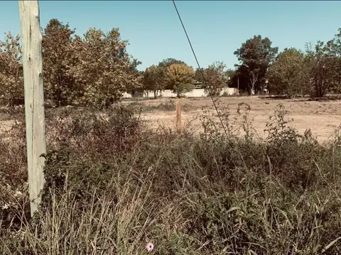 La Bota