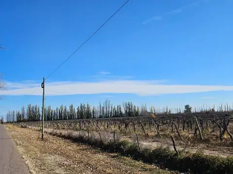 La Juanita s/n