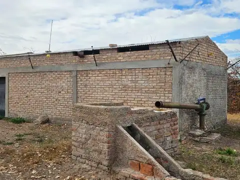 Finca en Venta - Gustavo Andre - Lavalle - Mendoza