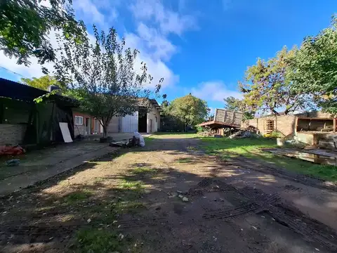 Libertad 500