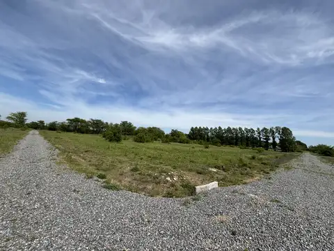 Terreno en Venta de 375,0 m2