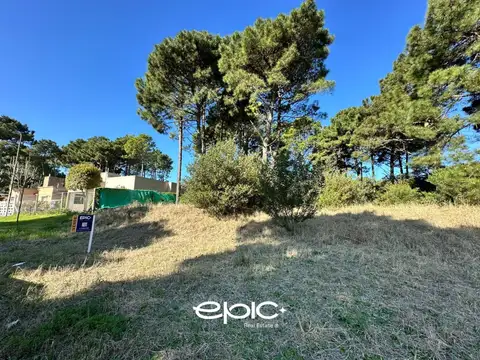 Terreno en Venta de 705,0 m2