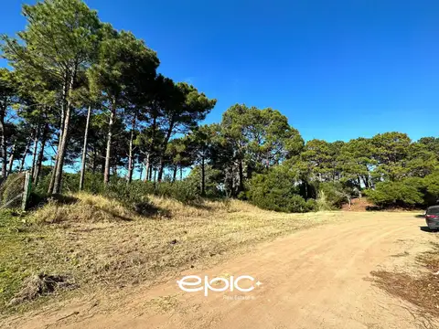 Terreno en Venta en Pinamar, USD 57.000
