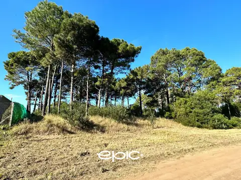 Terreno en Venta 34  mts Fondo