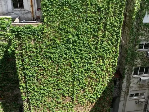 LIBERTAD 1100, Piso 8