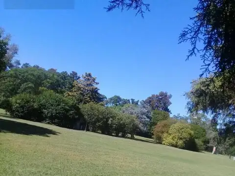 La Otilia 800