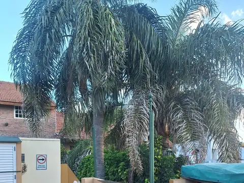 Departamento tipo casa en alquiler en Olivos