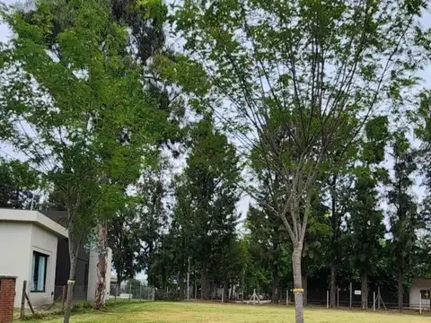 Terreno en Venta de 522,0 m2