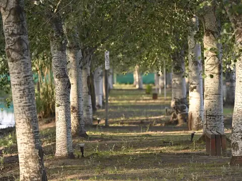 Terreno en Venta en Pinares del Sur
