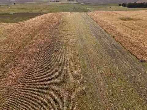 CAMPO EN VENTA  RAUCH