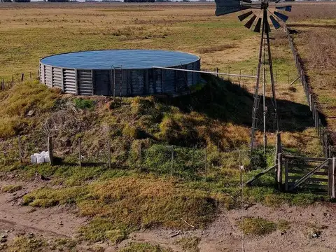 CAMPO EN VENTA  RAUCH