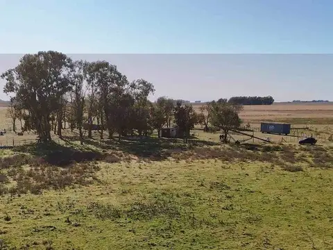 CAMPO EN VENTA  RAUCH