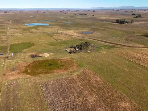 CAMPO EN VENTA  RAUCH