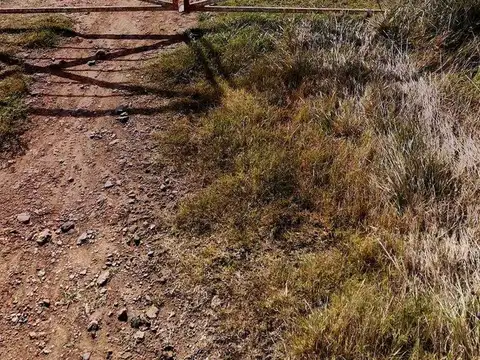 CAMPO EN VENTA  RAUCH