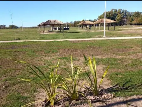 Terreno en Venta en Guernica, USD 13.900
